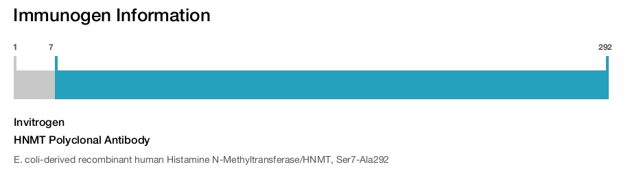 HNMT Polyclonal Antibody