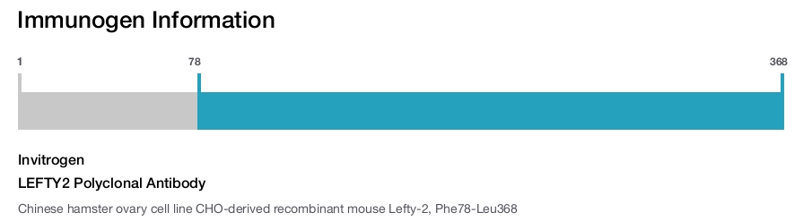 LEFTY2 Polyclonal Antibody