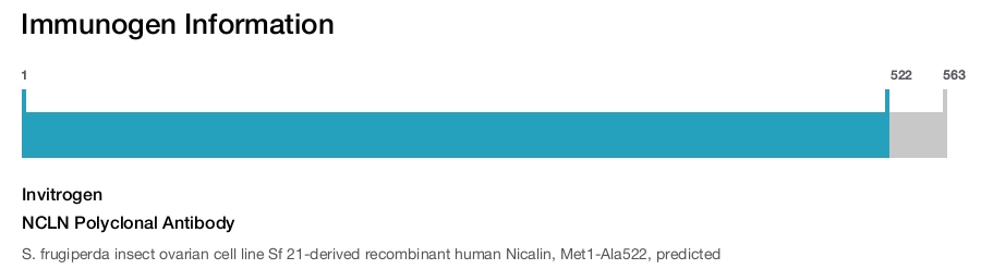 NCLN Polyclonal Antibody