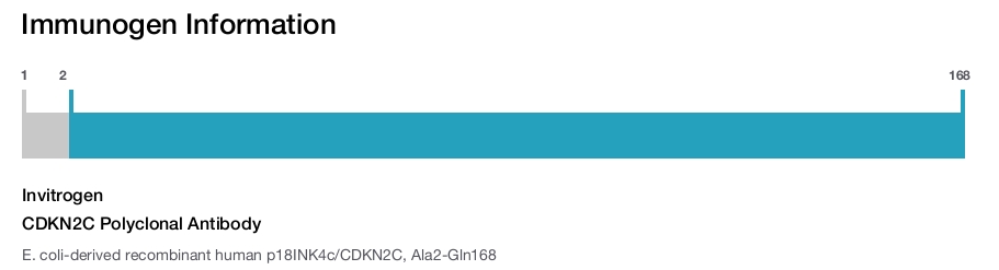 CDKN2C Polyclonal Antibody