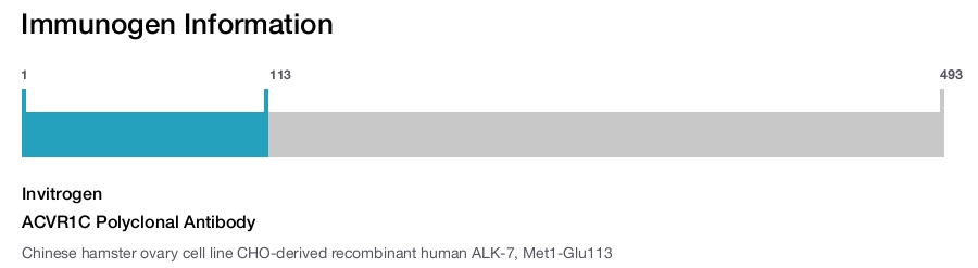 ACVR1C Polyclonal Antibody