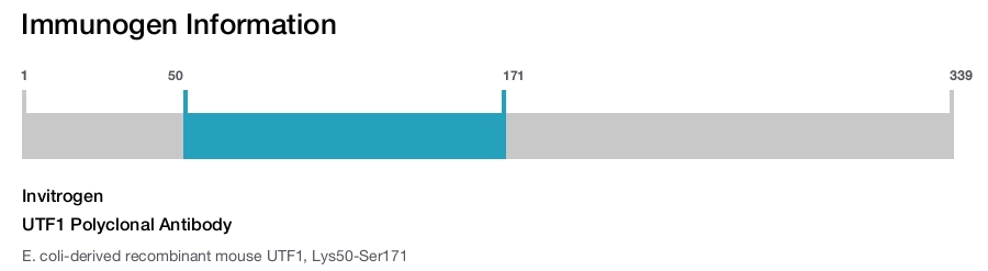 UTF1 Polyclonal Antibody