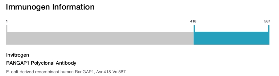 RANGAP1 Polyclonal Antibody
