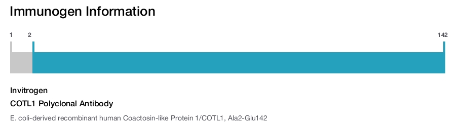 COTL1 Polyclonal Antibody