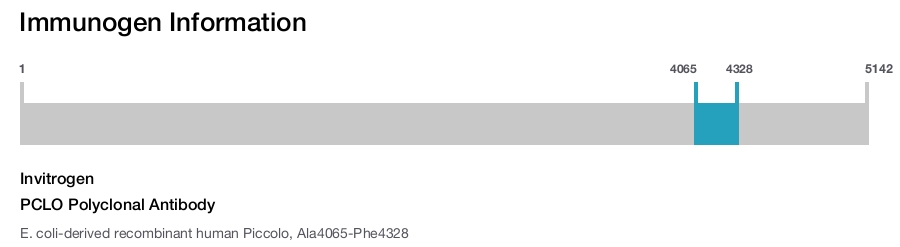 PCLO Polyclonal Antibody