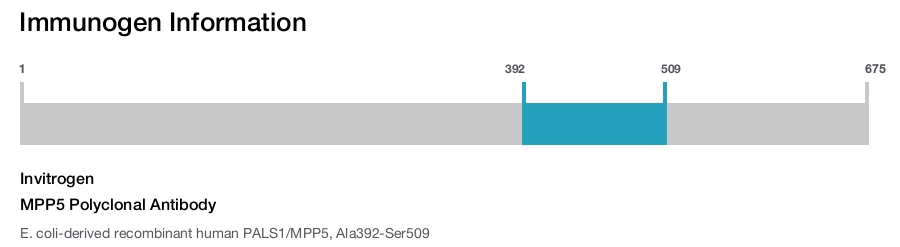 MPP5 Polyclonal Antibody