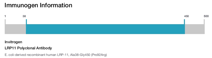 LRP11 Polyclonal Antibody