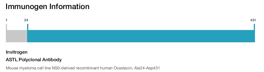 ASTL Polyclonal Antibody