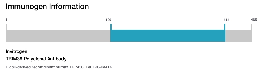 TRIM38 Polyclonal Antibody