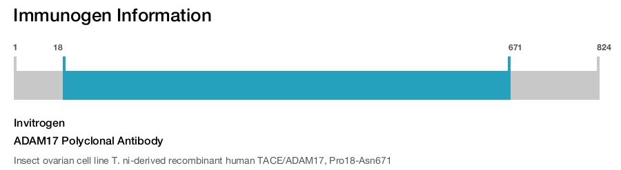 ADAM17 Polyclonal Antibody