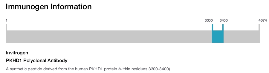 PKHD1 Polyclonal Antibody