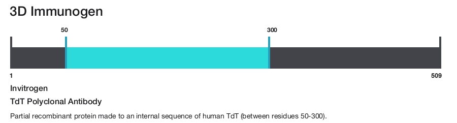 TdT Polyclonal Antibody