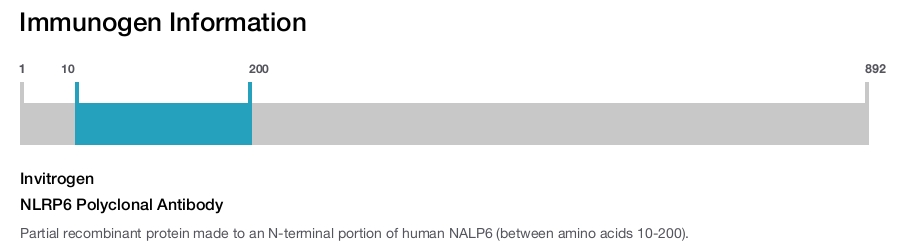 NLRP6 Polyclonal Antibody