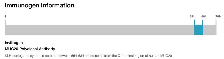 MUC20 Polyclonal Antibody