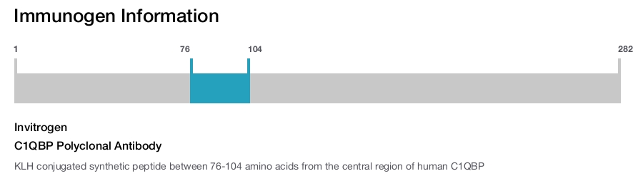 C1QBP Polyclonal Antibody