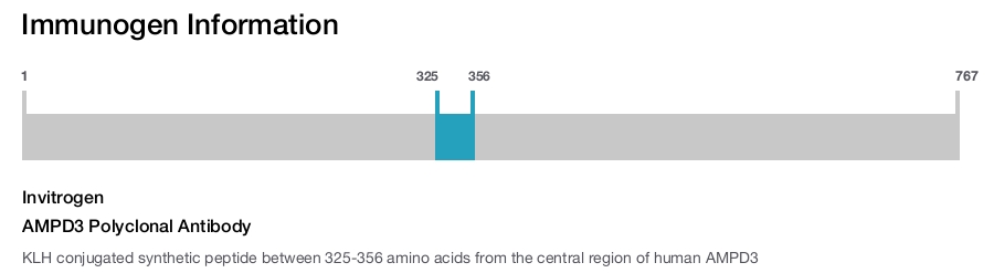 AMPD3 Polyclonal Antibody