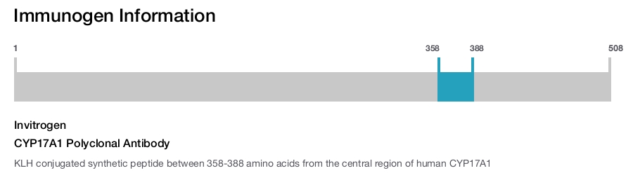 CYP17A1 Polyclonal Antibody