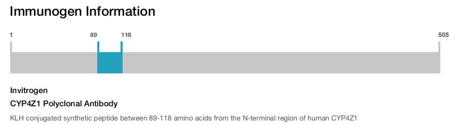 CYP4Z1 Polyclonal Antibody