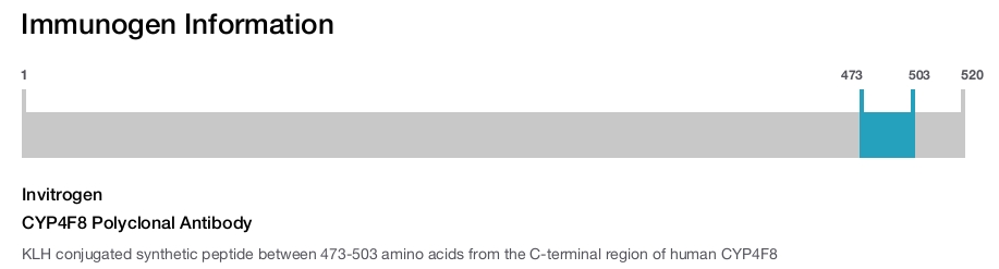 CYP4F8 Polyclonal Antibody
