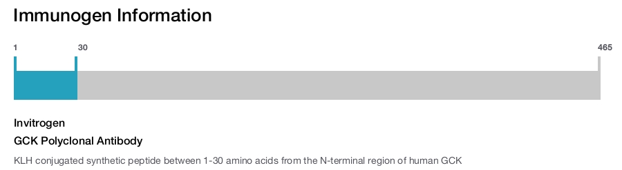 GCK Polyclonal Antibody