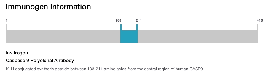 Caspase 9 Polyclonal Antibody