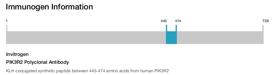 PIK3R2 Polyclonal Antibody