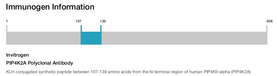 PIP4K2A Polyclonal Antibody
