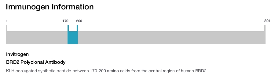 BRD2 Polyclonal Antibody