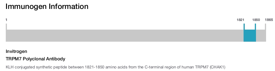 TRPM7 Polyclonal Antibody