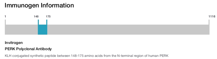 PERK Polyclonal Antibody