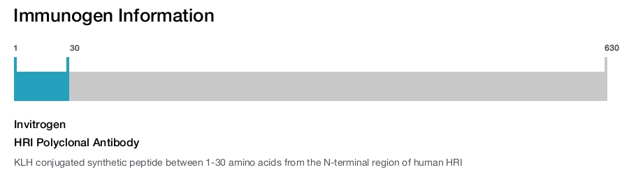 HRI Polyclonal Antibody