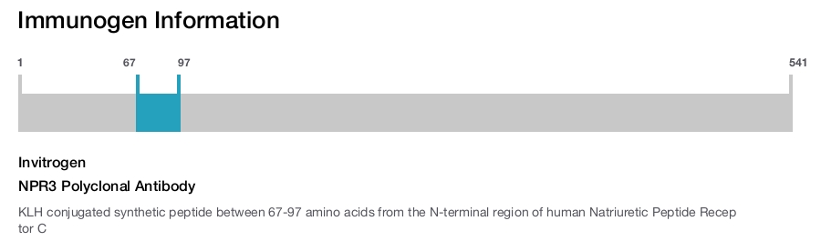 NPR3 Polyclonal Antibody