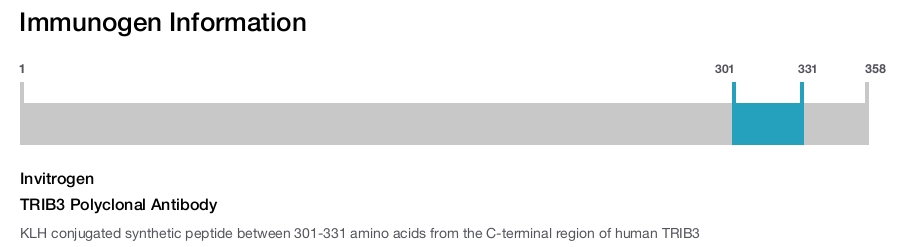 TRIB3 Polyclonal Antibody