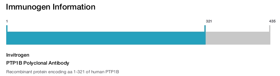 PTP1B Polyclonal Antibody