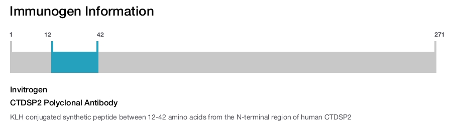 CTDSP2 Polyclonal Antibody