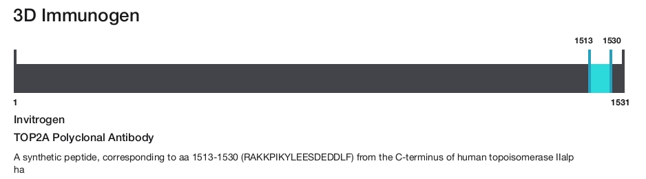 TOP2A Polyclonal Antibody