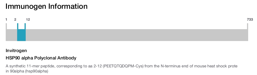 HSP90 alpha Polyclonal Antibody