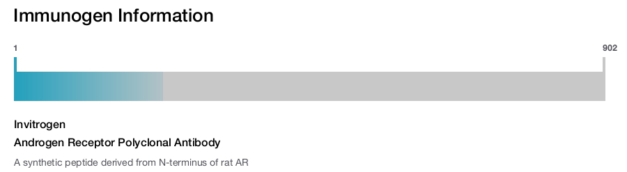 Androgen Receptor Polyclonal Antibody