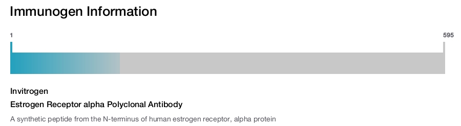 Estrogen Receptor alpha Polyclonal Antibody