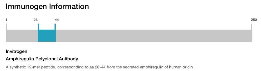 Amphiregulin Polyclonal Antibody