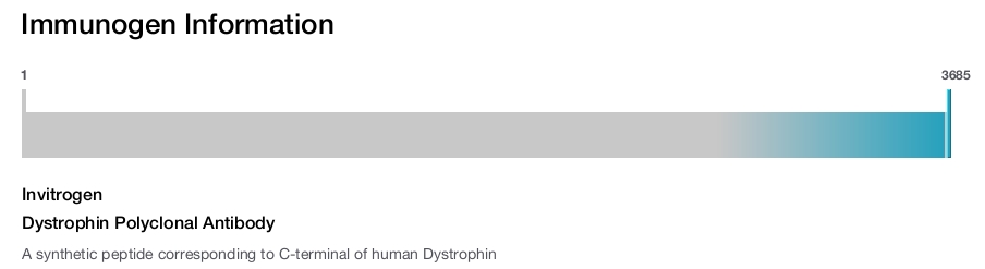 Dystrophin Polyclonal Antibody