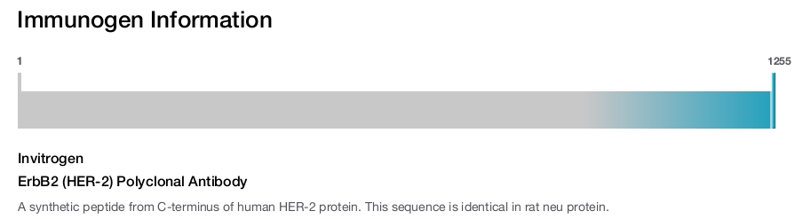 ErbB2 (HER-2) Polyclonal Antibody