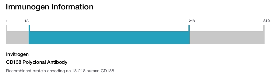 CD138 Polyclonal Antibody