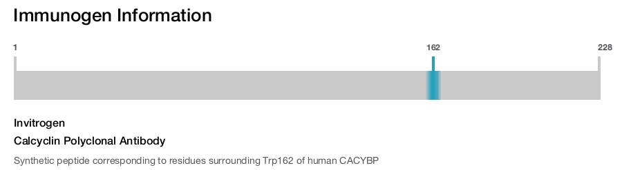 Calcyclin Polyclonal Antibody