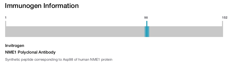 NME1 Polyclonal Antibody