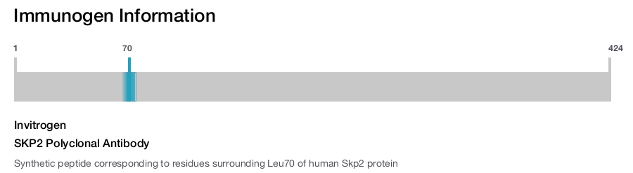 SKP2 Polyclonal Antibody