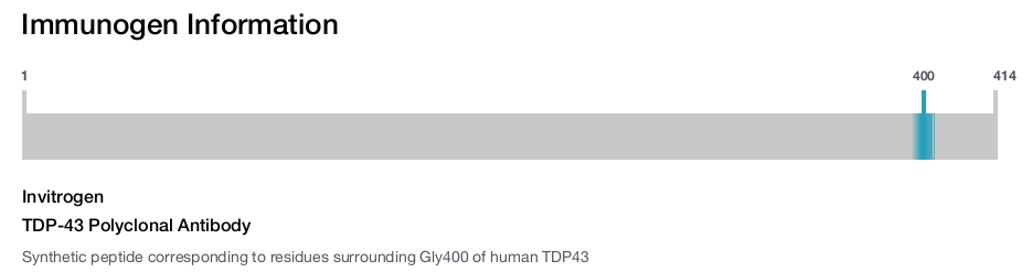 TDP-43 Polyclonal Antibody