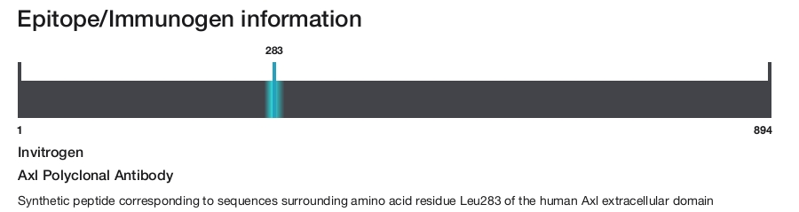 Axl Polyclonal Antibody