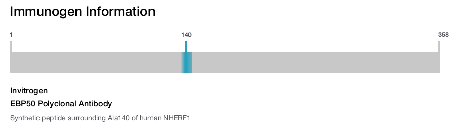 EBP50 Polyclonal Antibody