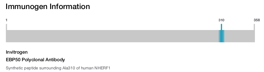 EBP50 Polyclonal Antibody